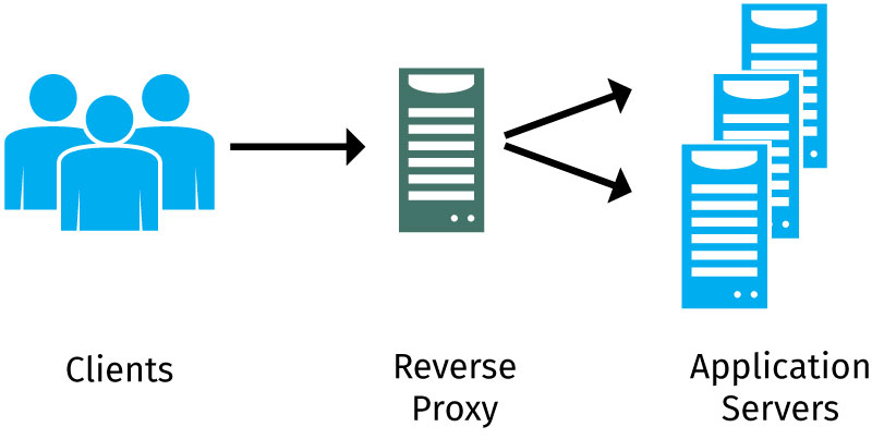 WordPress博客设置Nginx反向代理:为网站提速-谷姐靓号网